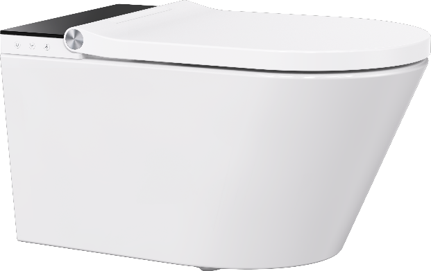 Prevista Shower Toilet More智能挂厕